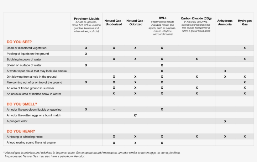 Infographic, transparent png