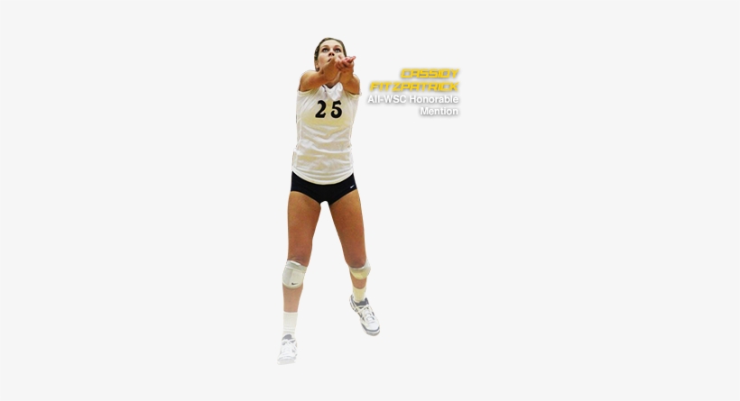 Header Background - College Of The Canyons, transparent png