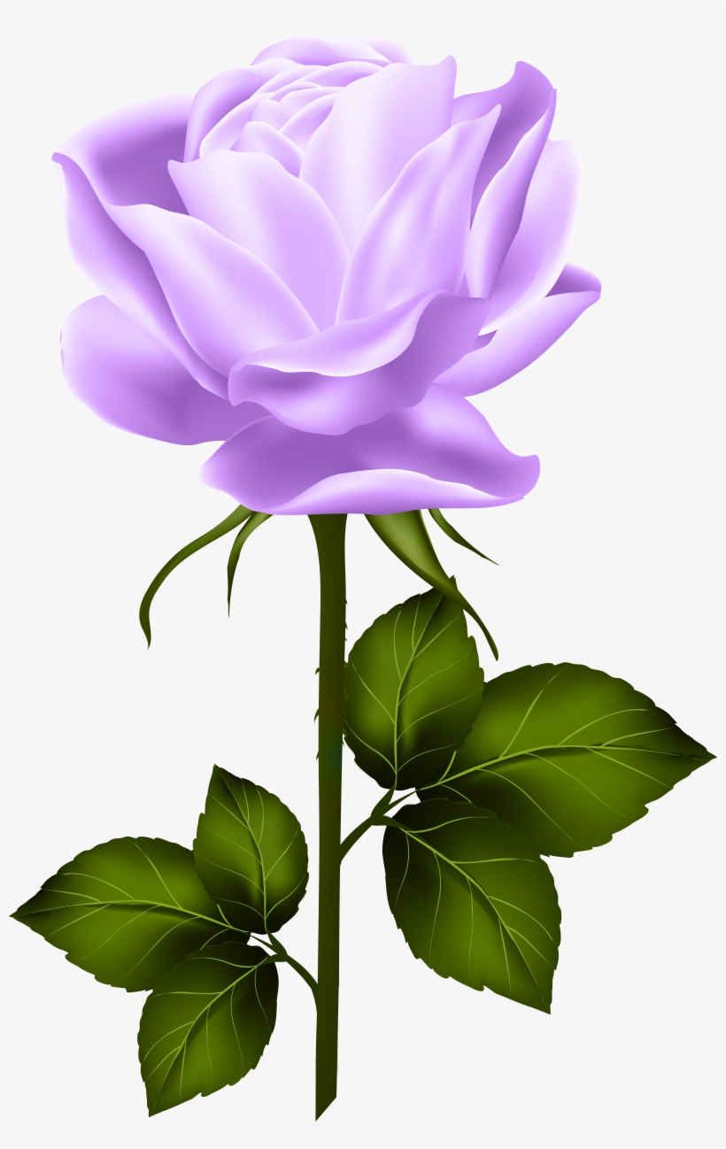 Shabby Chic Flowers, Hybrid Tea Roses, Single Rose, - Yellow Rose With Stem, transparent png