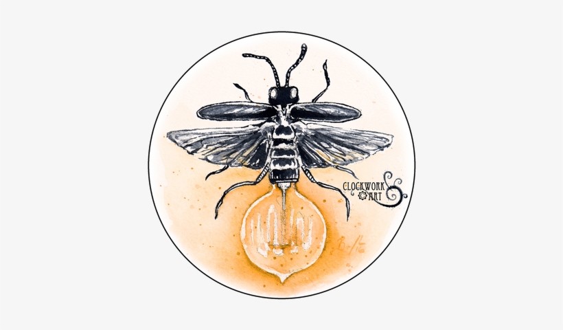 Dragonflies - Firefly Iv, transparent png