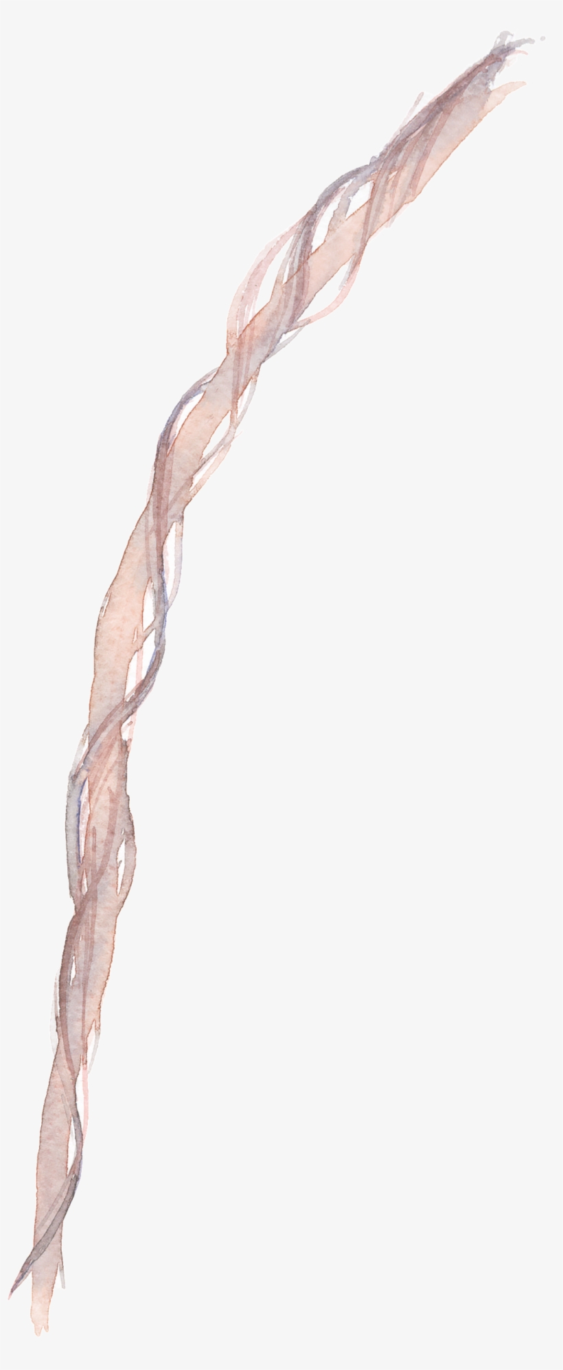 Ribbon Cartoon Transparent Material - Portable Network Graphics, transparent png