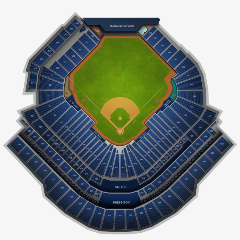 Tampa Bay, transparent png