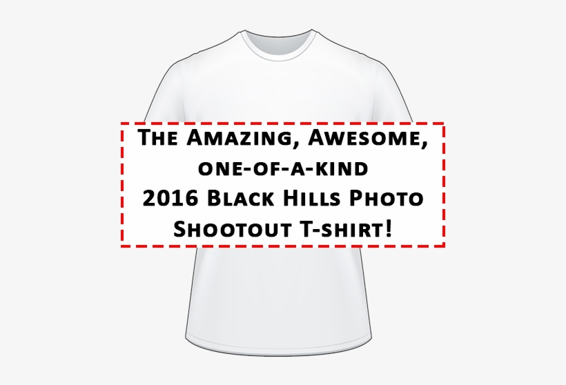 2016 Bhps T-shirt - Label, transparent png