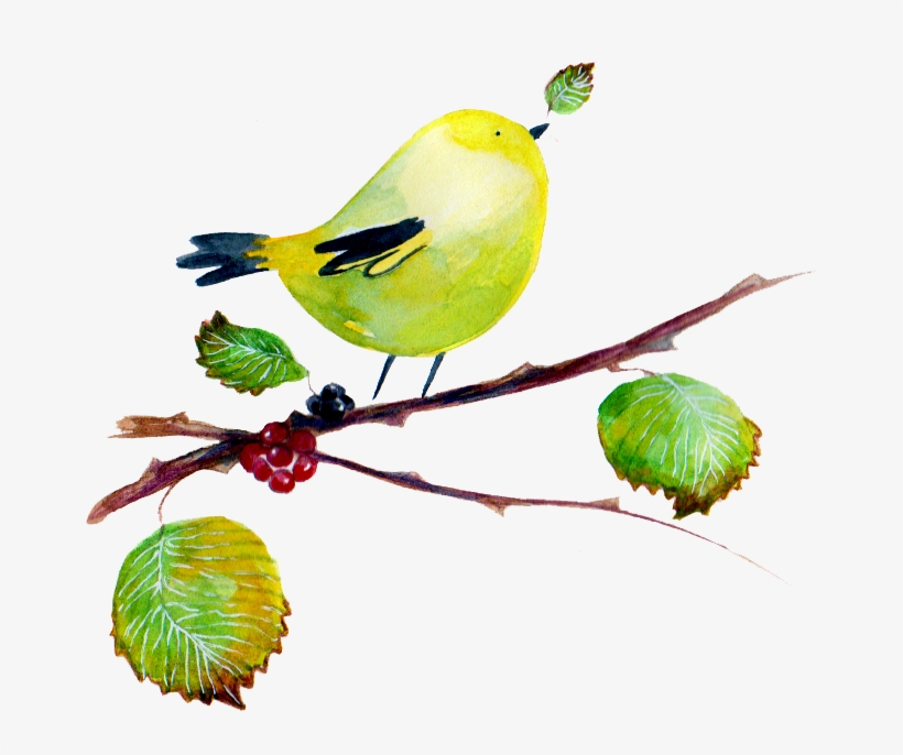 Verderon Trans - Twig, transparent png