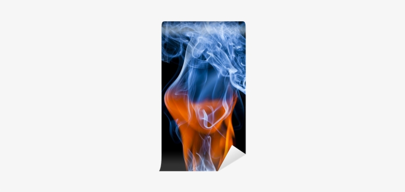 Preparatory Chemistry Lab Manual, transparent png