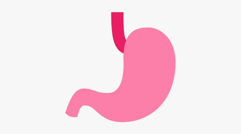 Stomach Png, transparent png