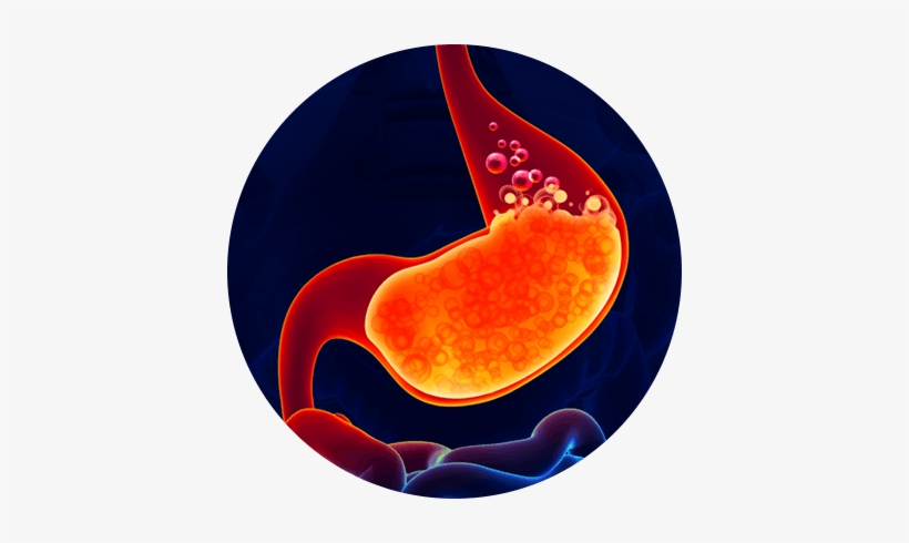How Eno Works In Stomach - Absolute Enzymes Complete Digestive Enzyme Formula, transparent png