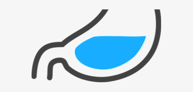 Stomach, transparent png
