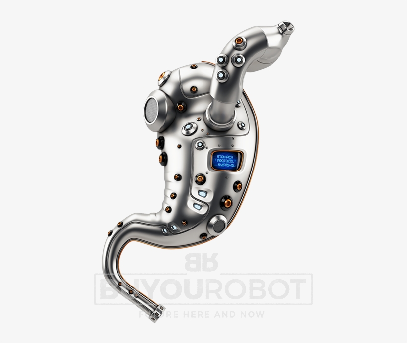 Robotic Stomach - Robot Stomach, transparent png