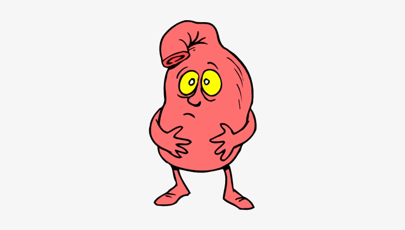 Svg Royalty Free Download Panda Free Images Stomachclipart - Stomach Cartoon, transparent png