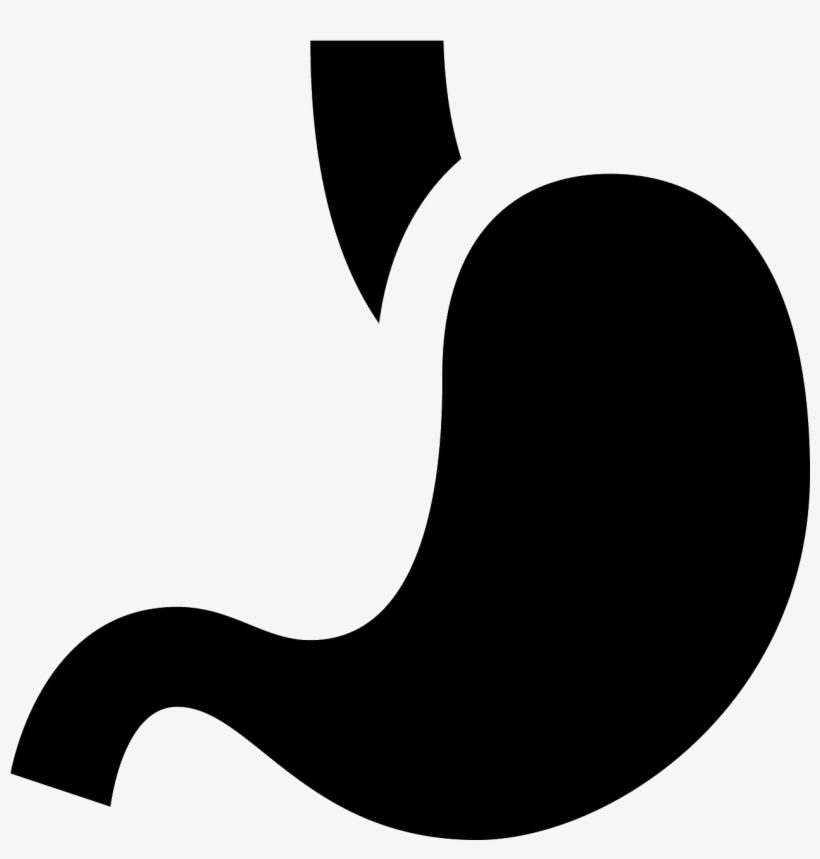The Stomach Is Somewhat Shaped Like A Bag, Tapering - Stomach, transparent png