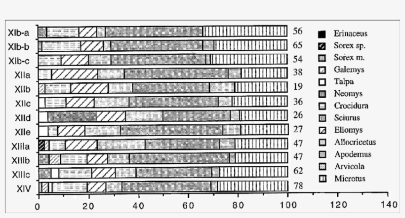 Representación Gráfica De Los Porcentajes De Las Distintas, transparent png