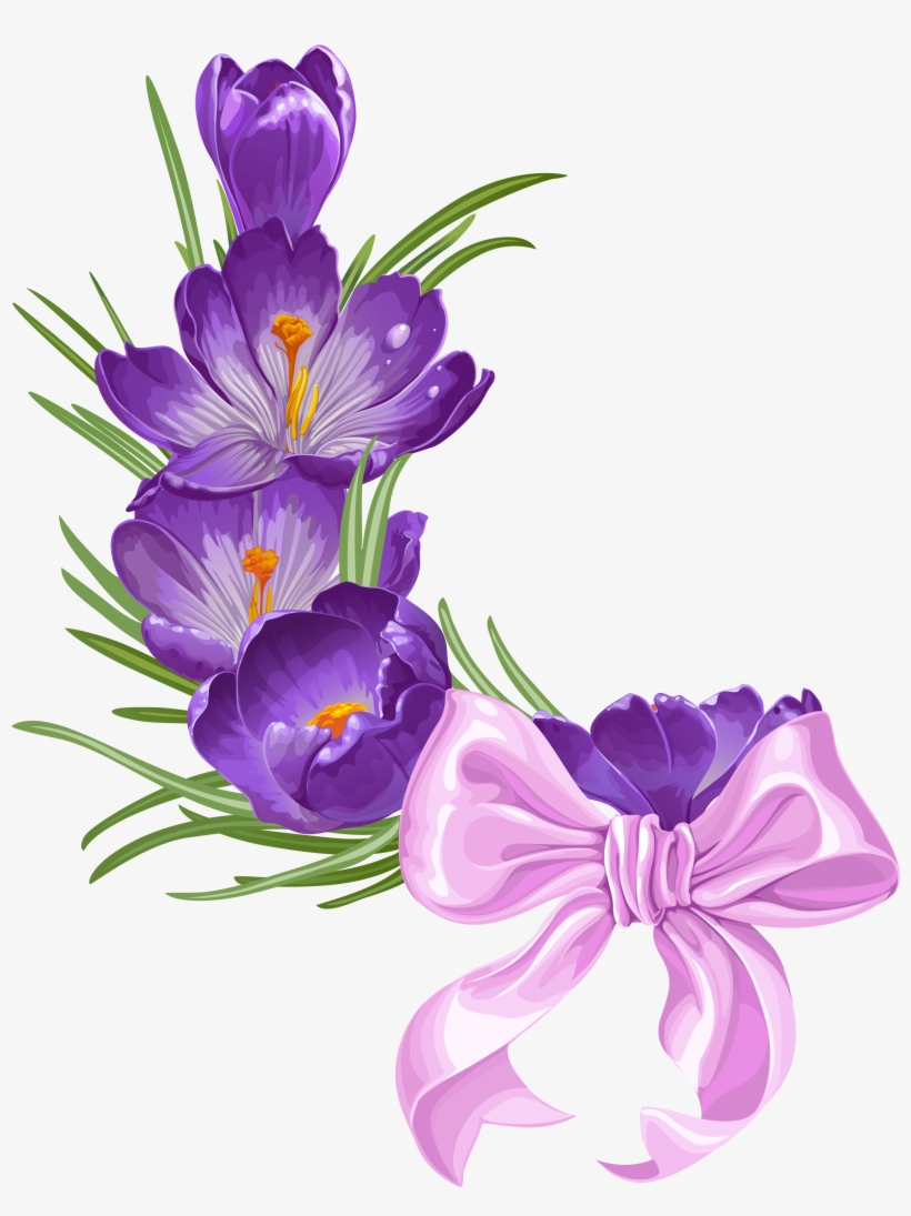 F C Bd Orig Zestawy Do, transparent png