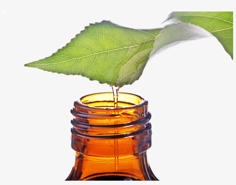 Known As Tea Seed Oil) Is An Organic Plant Oil Refined, transparent png