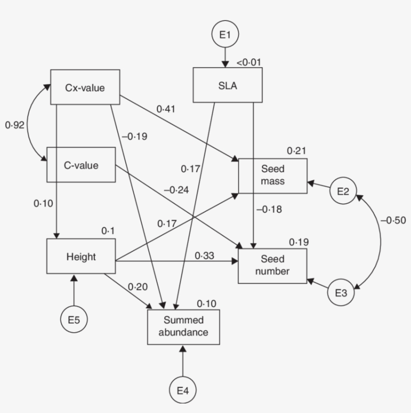 Directional Arrows Indicate Causal Effects, Bidirectional, transparent png