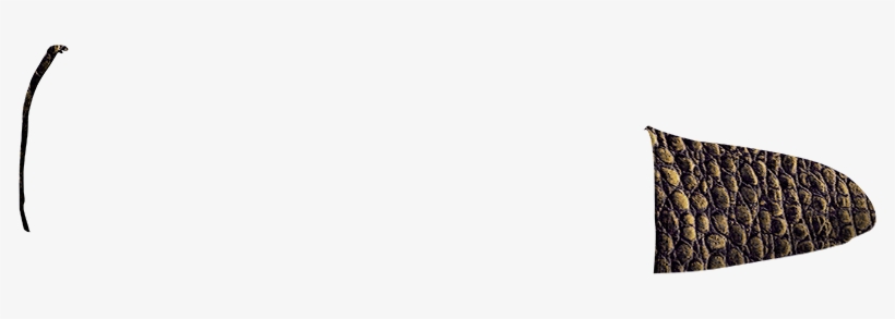 Fantasia-cocodrilo Chocolate, transparent png