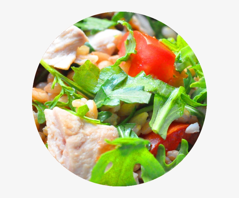 Pollo, transparent png
