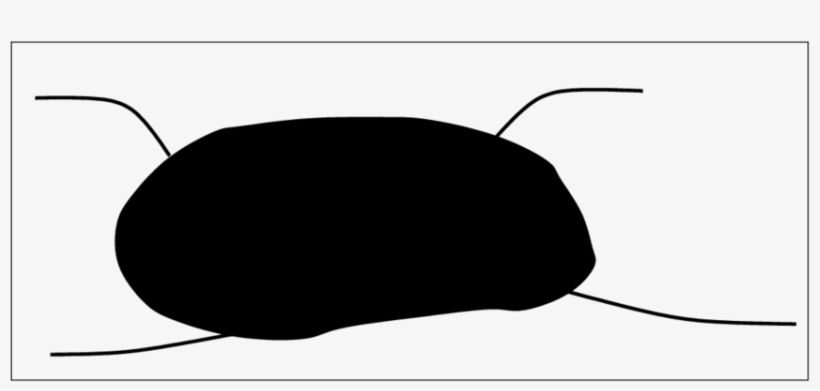 A Prohibited Reachable Set For A Lie Bracket Generating, transparent png