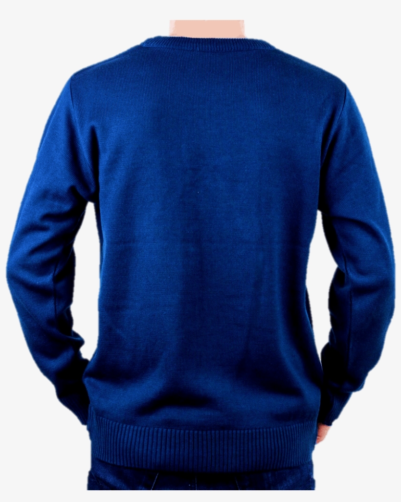 Jersey Navideño Hombre Pingüino Azul Para Navidad Espalda, transparent png