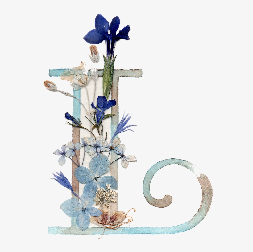 Acuarela Sobre Papel Y Flores Naturales Prensadas Cm, transparent png