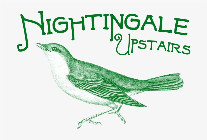Nightingale Png, transparent png