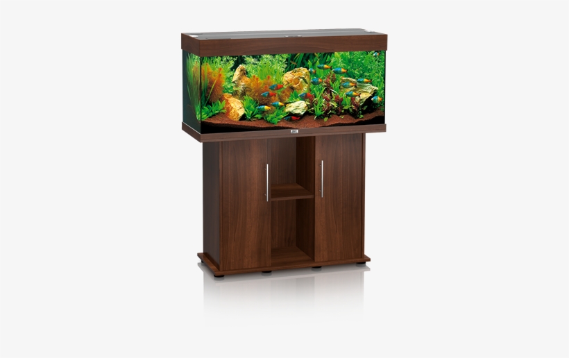 Rio 180 Darkwood, transparent png