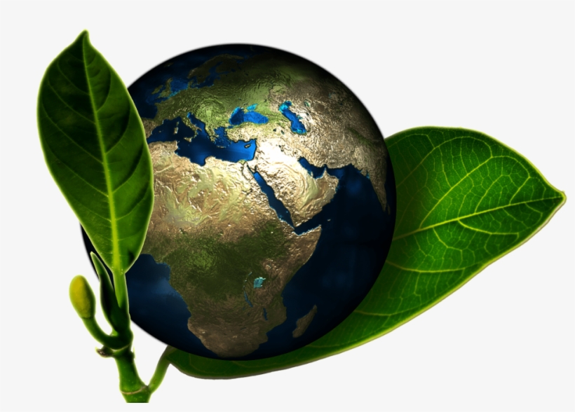 How To Go Green With Your Septic System, transparent png