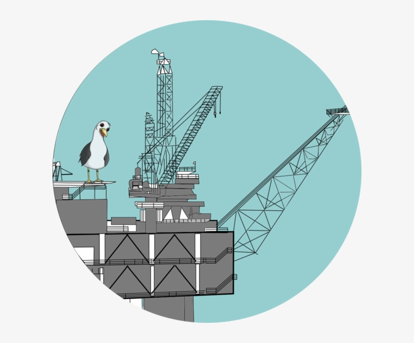 Stephen Seagull Interviews Rig2reef, transparent png
