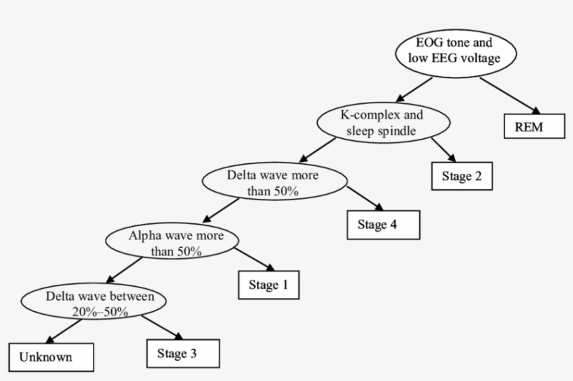 Decision Tree Generated From The Rules Given By The, transparent png