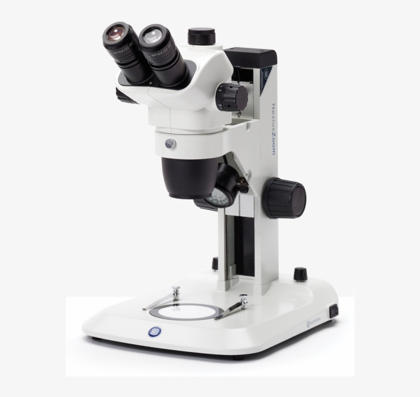 Nz - 1903-s, transparent png