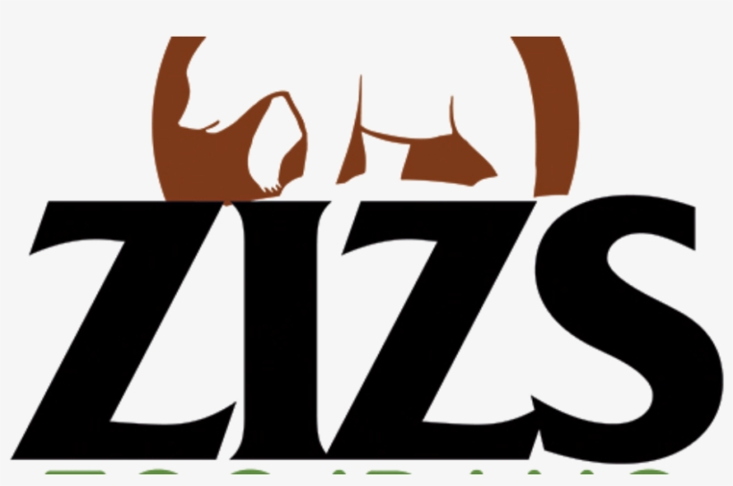 Zizs Graphic Identity, transparent png