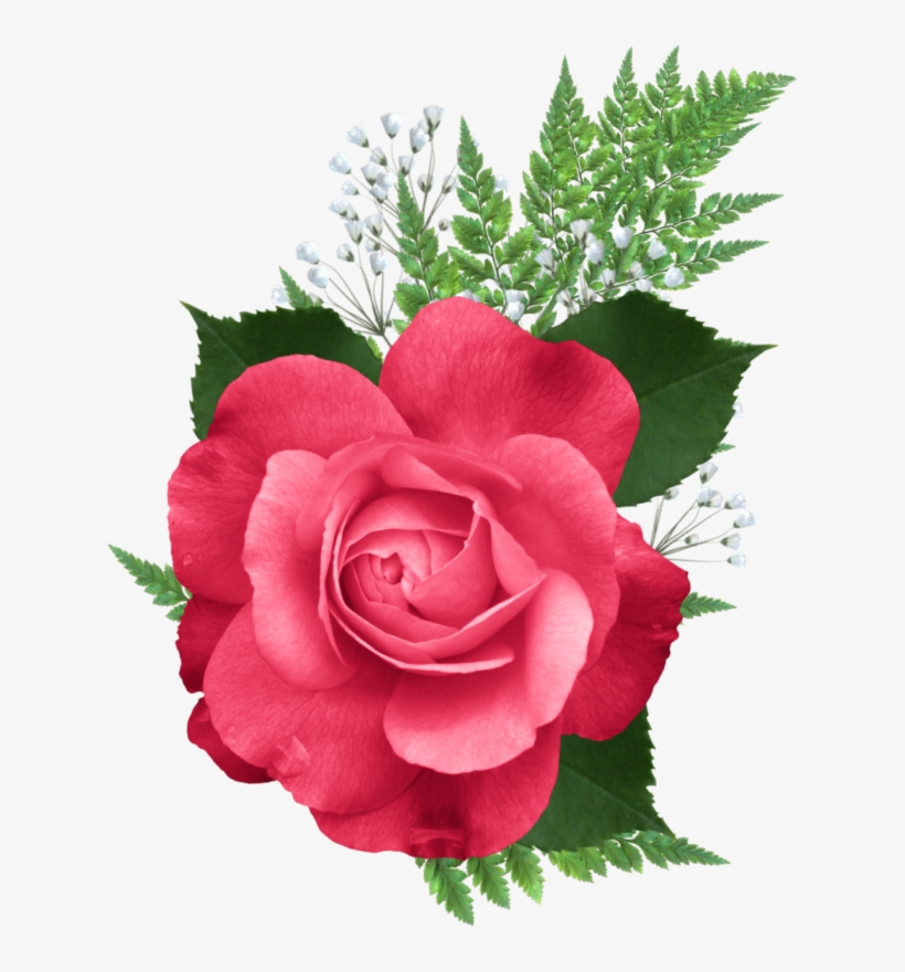 Http - //lh4 - Ggpht - Com/ - Mayo Mes De La Madre, transparent png