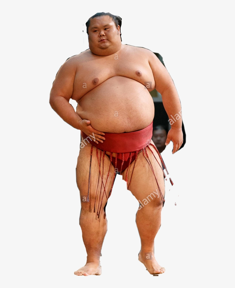 Sumo Wrestler Png 480x923 PNG Download PNGkit