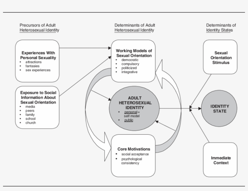 Components Of The Proposed Model Of Adult Heterosexual, transparent png