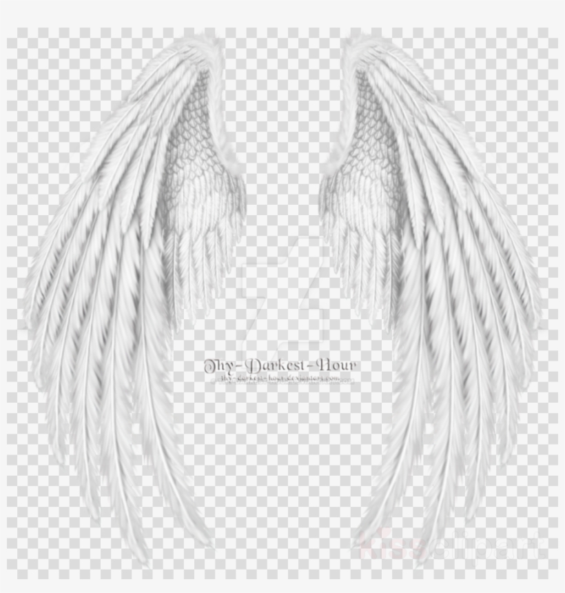 Gold Wings Png Clipart Clip Art, transparent png