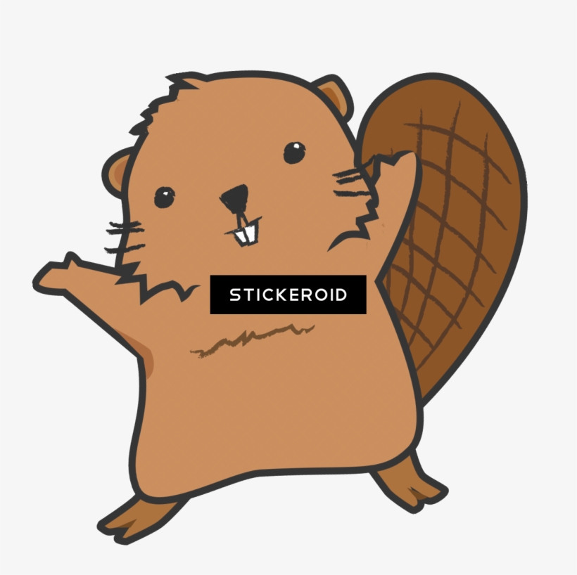 Beaver Animals, transparent png