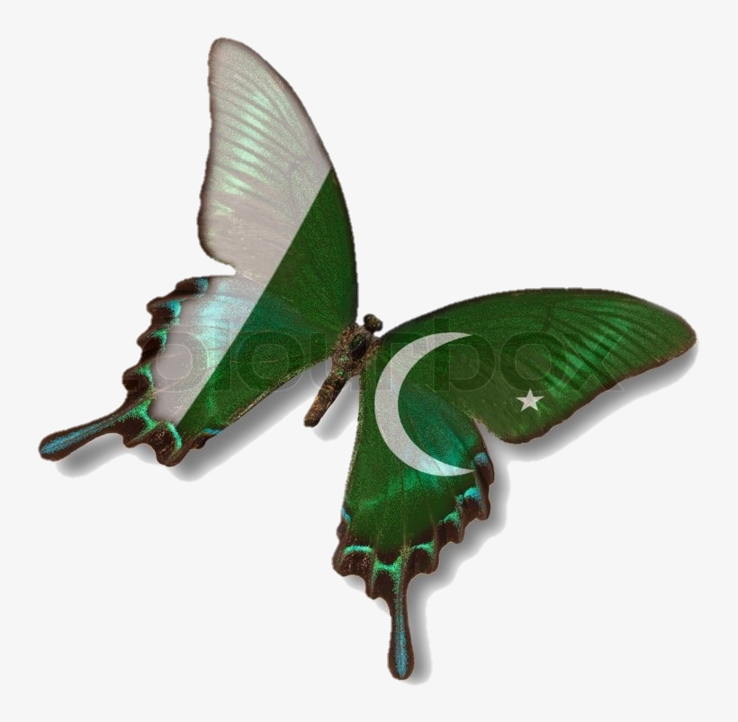 Effacts Png For 14th August By Haniya Ali, transparent png