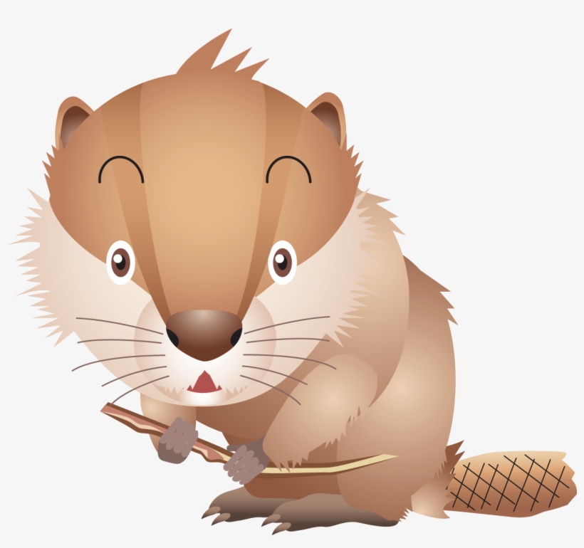Beaver Png, transparent png