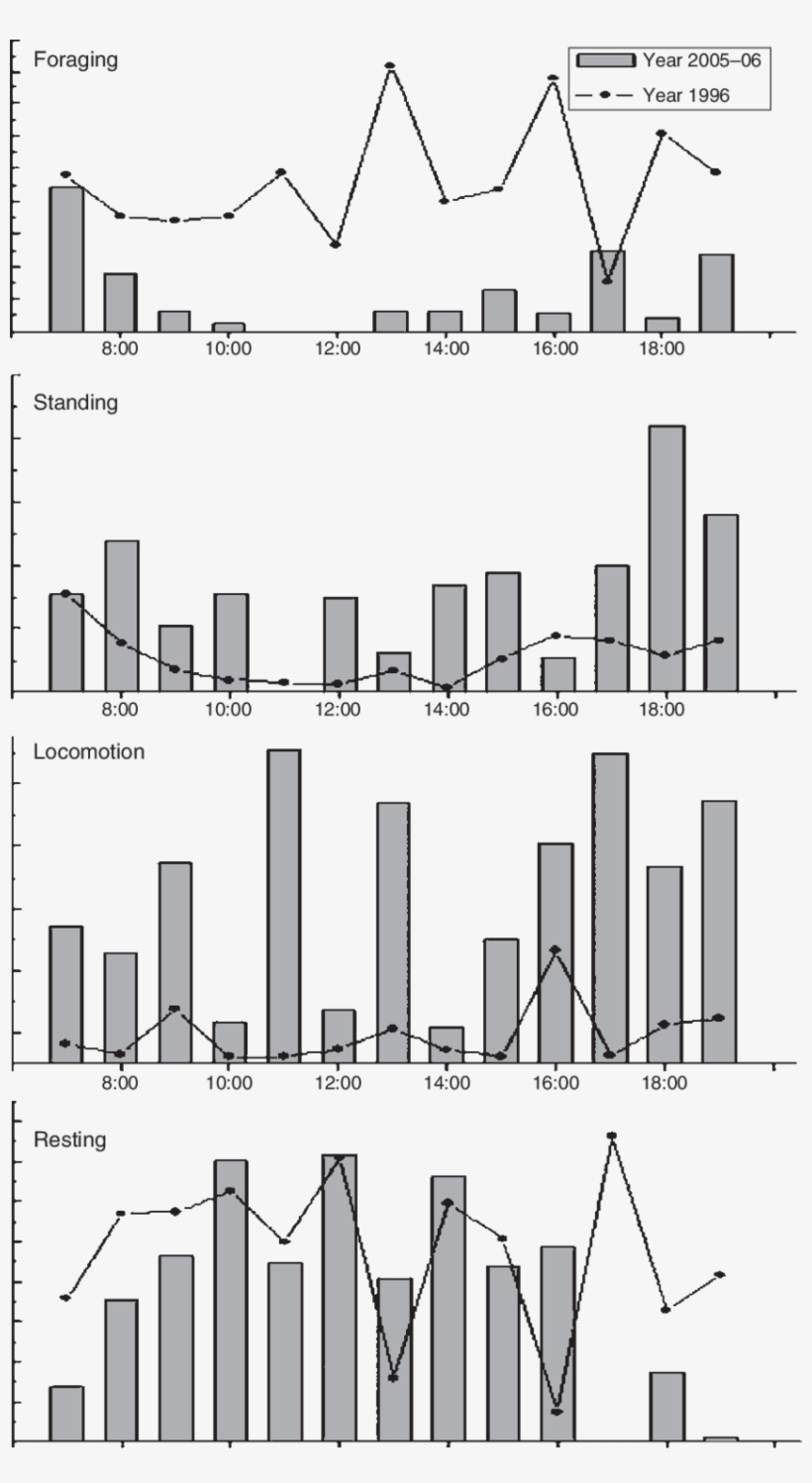Comparison Of Activity Patterns Of Przewalski's Gazelle, transparent png