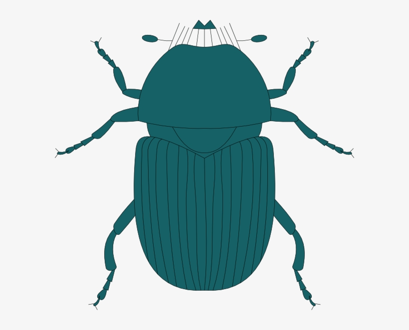 Green Beetle, transparent png