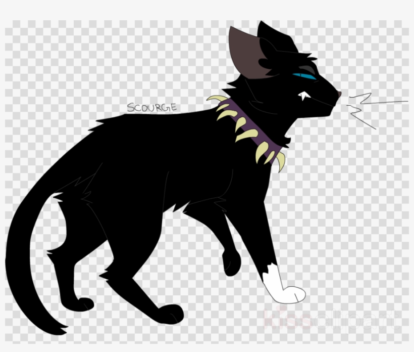 Warriors Png, transparent png