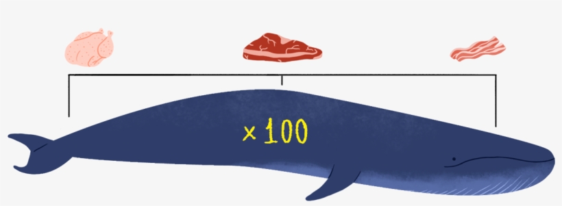 100 Blue Whales, transparent png