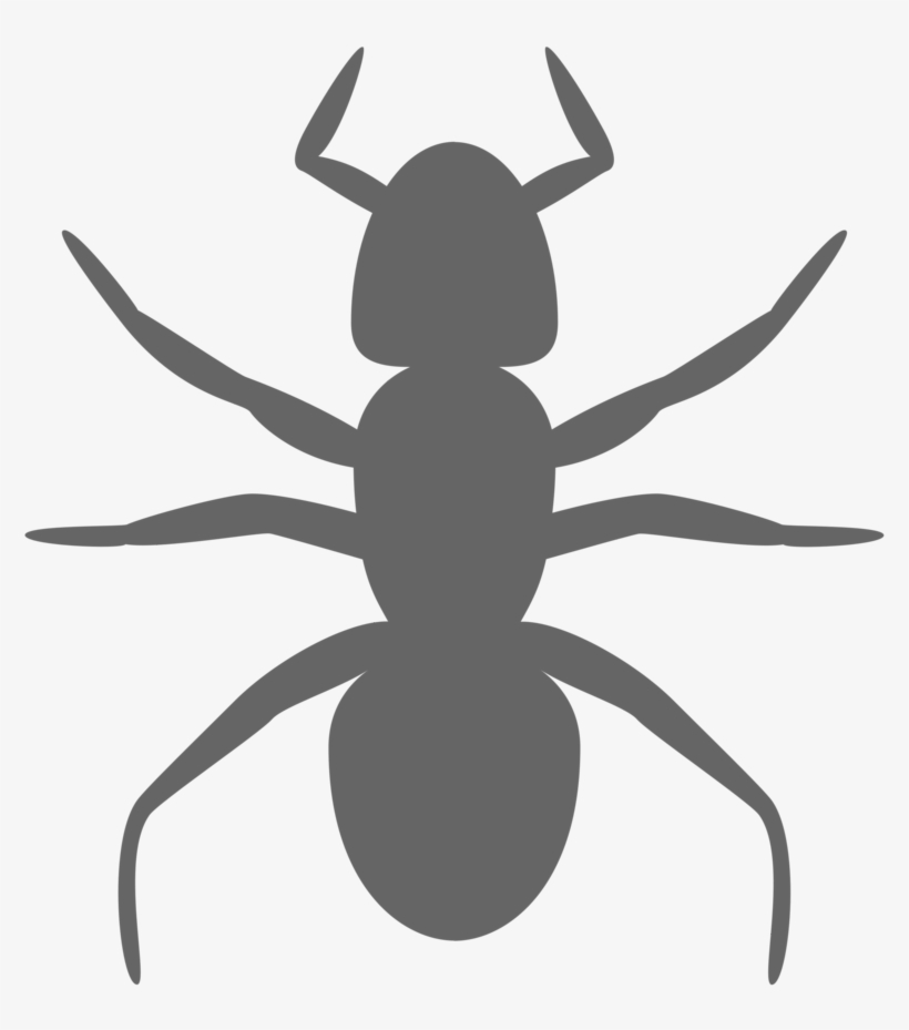 Urban, transparent png