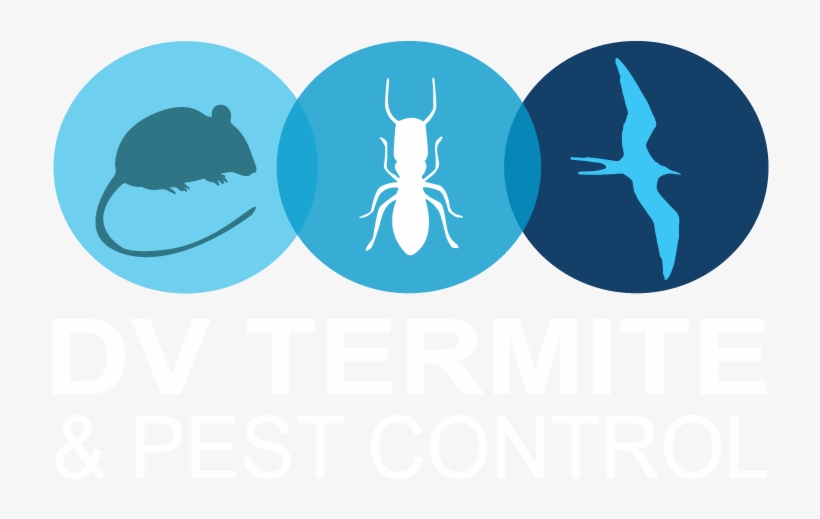 Diamond Valley Termite And Pest Control, transparent png