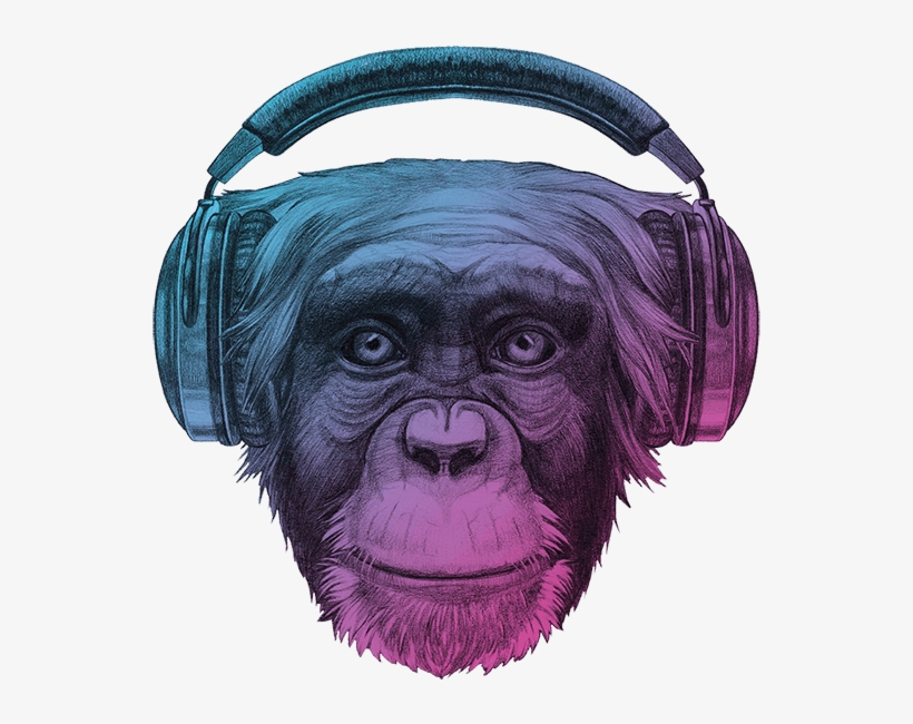 Ape Png, transparent png