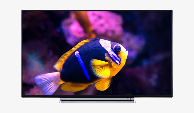 65" Toshiba Ultra Hd Tv Front, transparent png