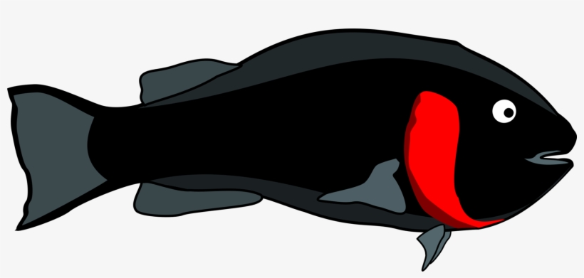 Fishing Swordfish Dolphin Silhouette, transparent png