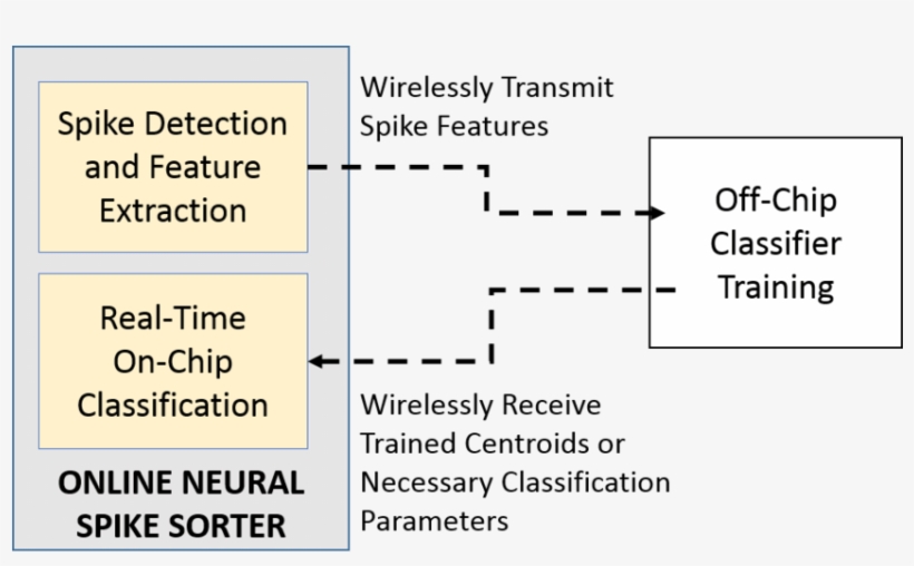 The Detection And Feature Extraction Algorithms Are, transparent png