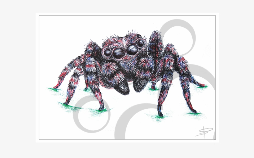 Spider Inkling, transparent png