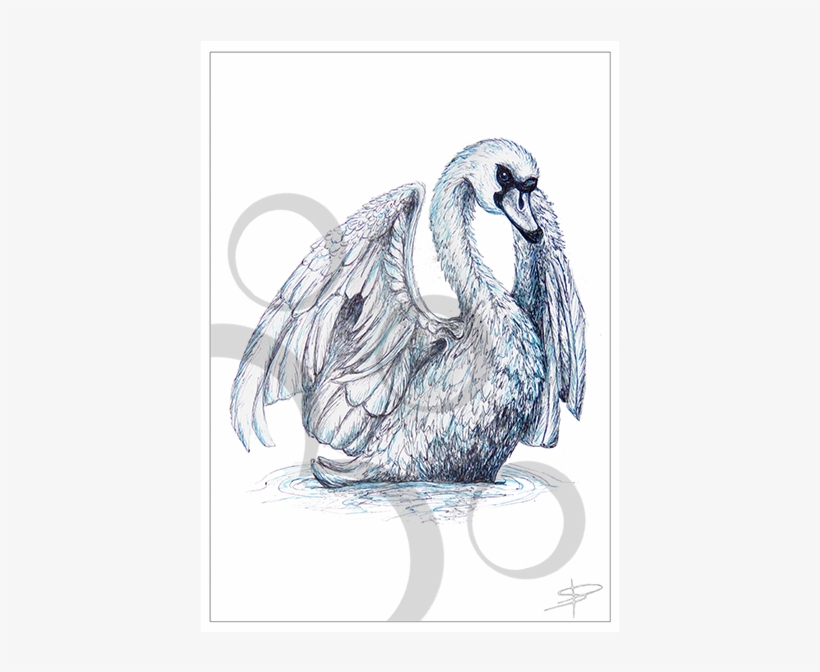Swan Inkling, transparent png